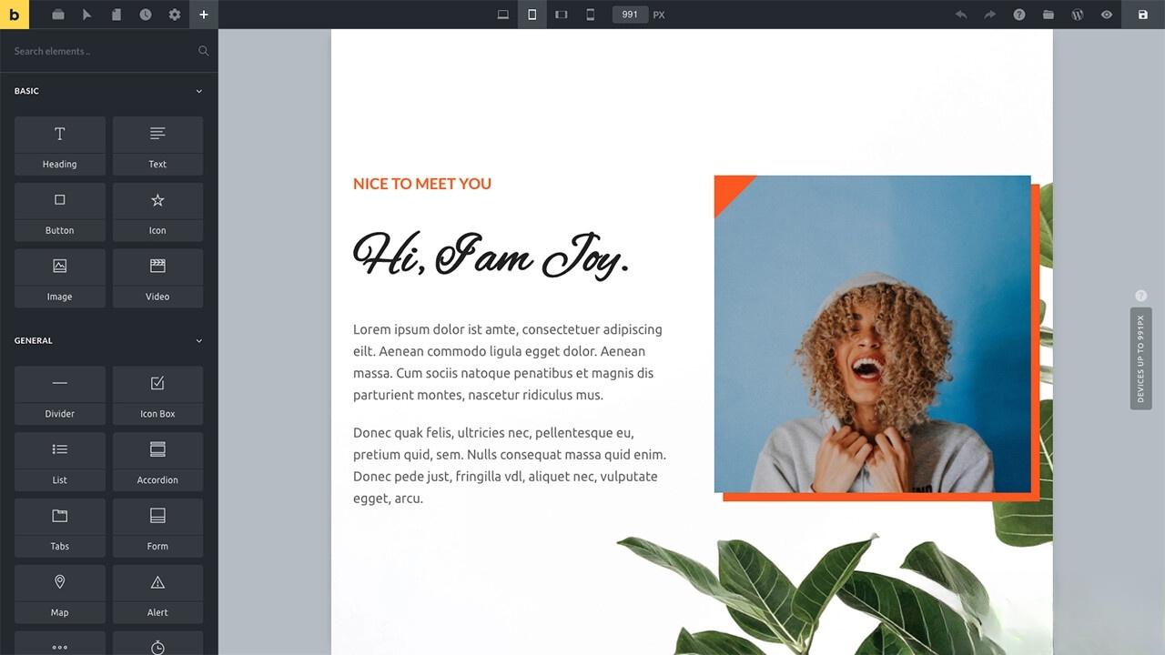 WordPress主题Bricks v1.9 破解版-文梦源码网