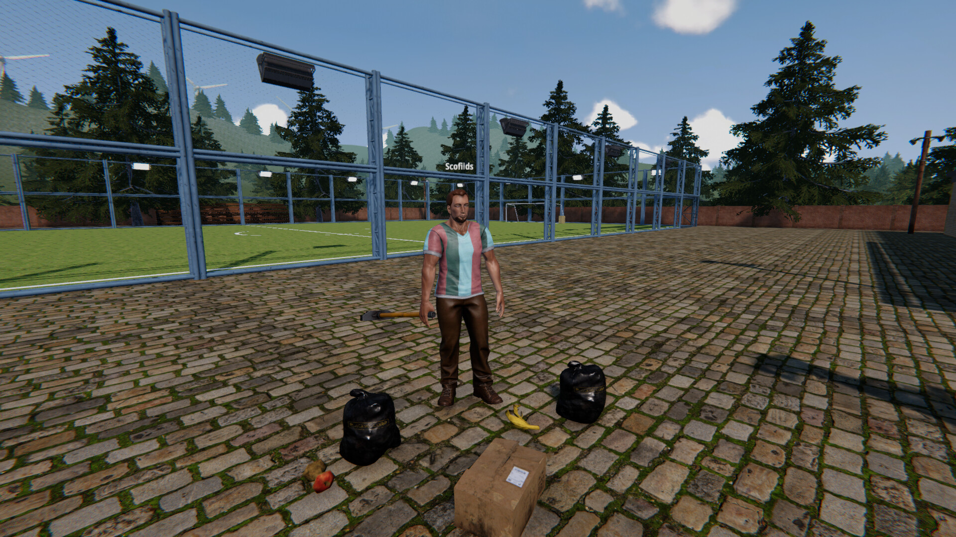 《足球场模拟器》Build.20362264