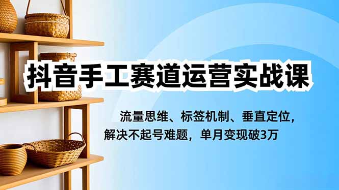 抖音手工赛道运营实战课，流量思维、标签机制、垂直定位，解决不起号难题，单月变现破3万-文梦源码网