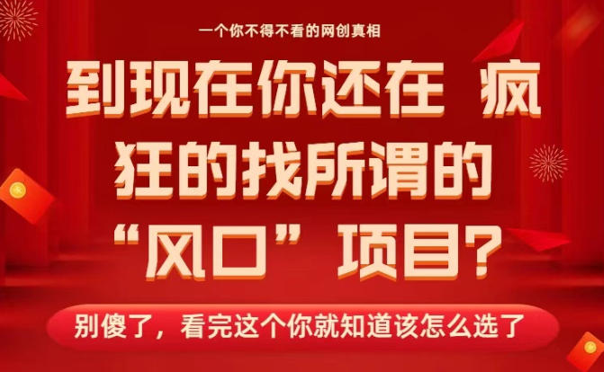 马上26年了，你还在找所谓的风口项目？别傻了，看完这个你全都懂了！【揭秘】-文梦源码网
