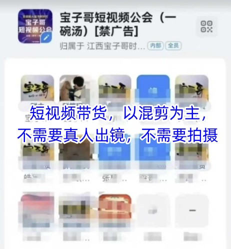 宝子哥头部团队短视频带货，以混剪为主，不需要真人出镜，不需要拍摄【更新12月】-繁星源码网