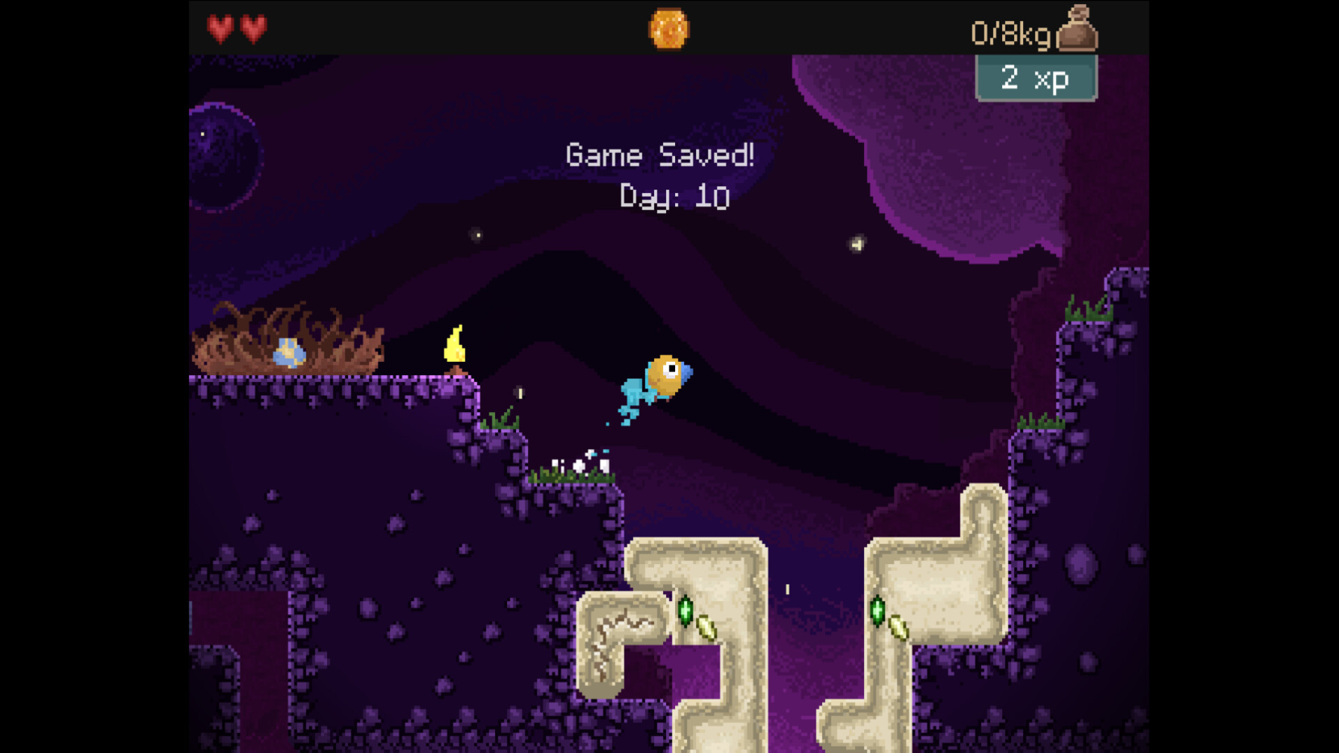 钻头鸟/Drill Bird