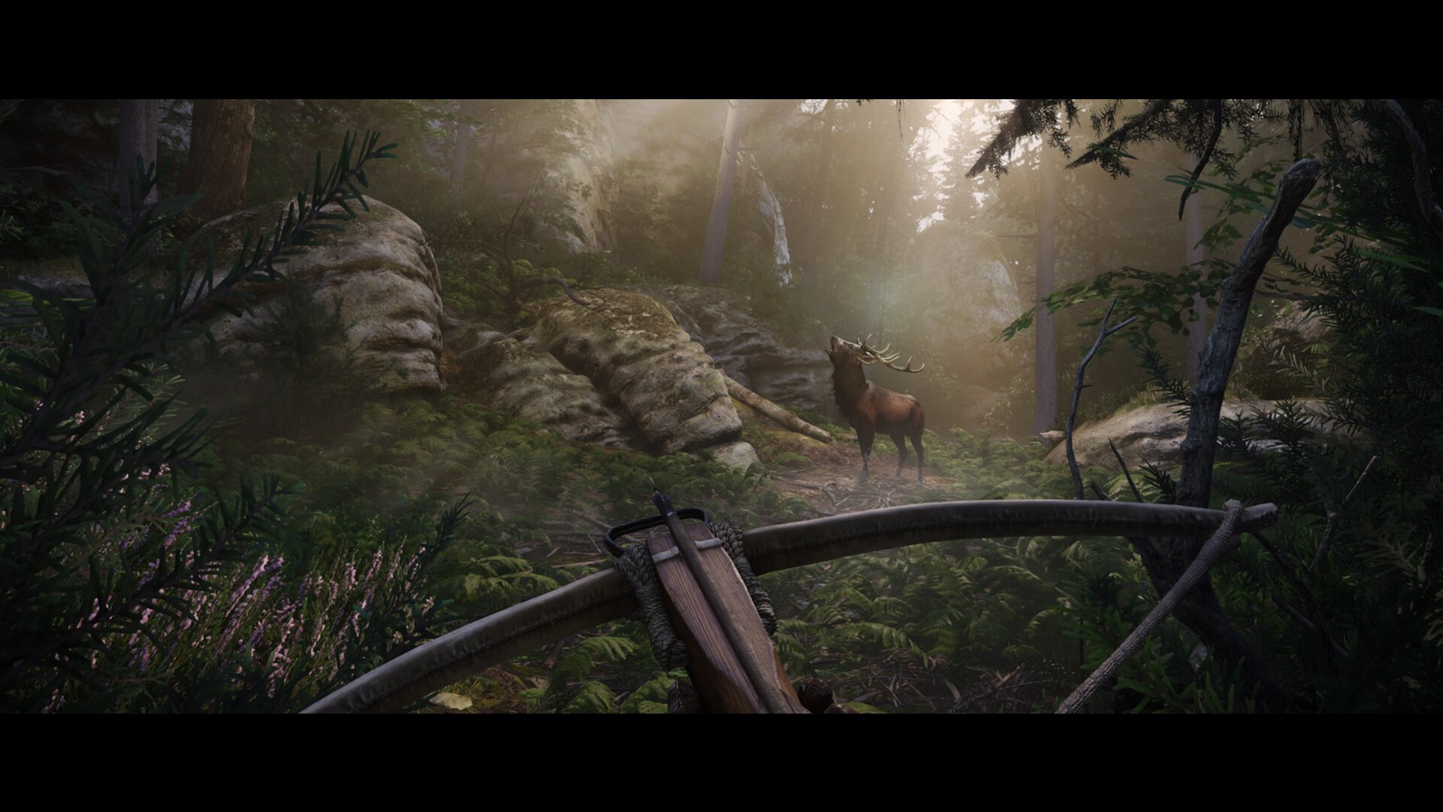 《天国：拯救2》v1.4.0中文版-繁星源码网