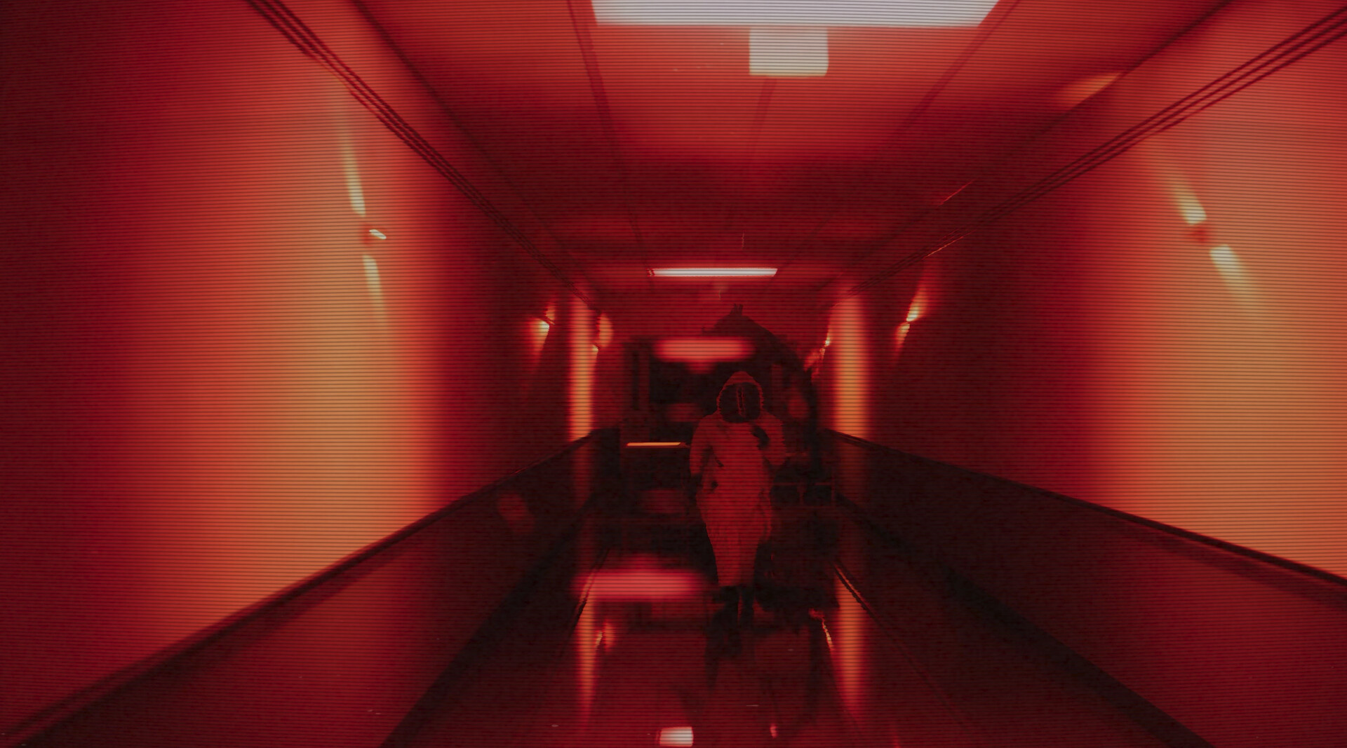 后室：一起逃脱/Backrooms: Escape Together/支持网络联机-文梦源码网