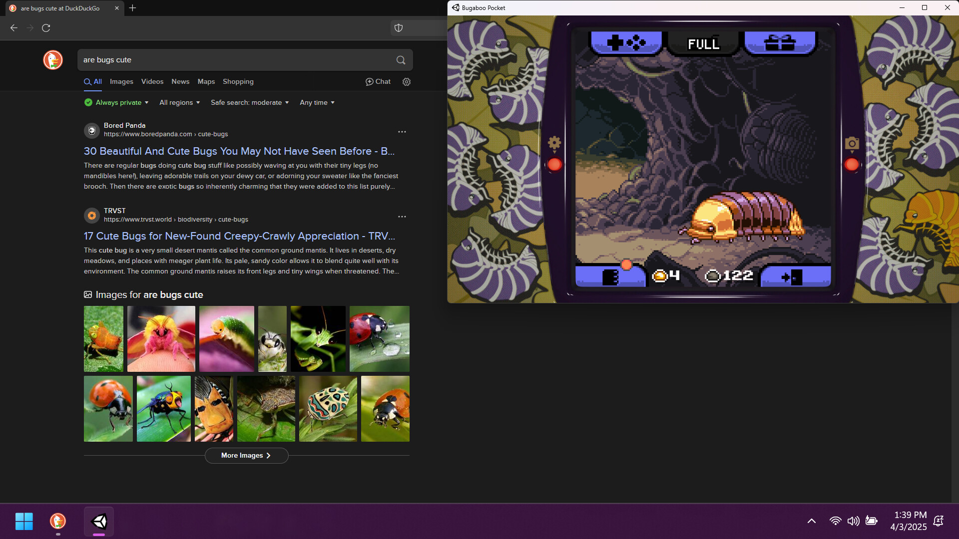 昆虫观察日记/Bugaboo Pocket