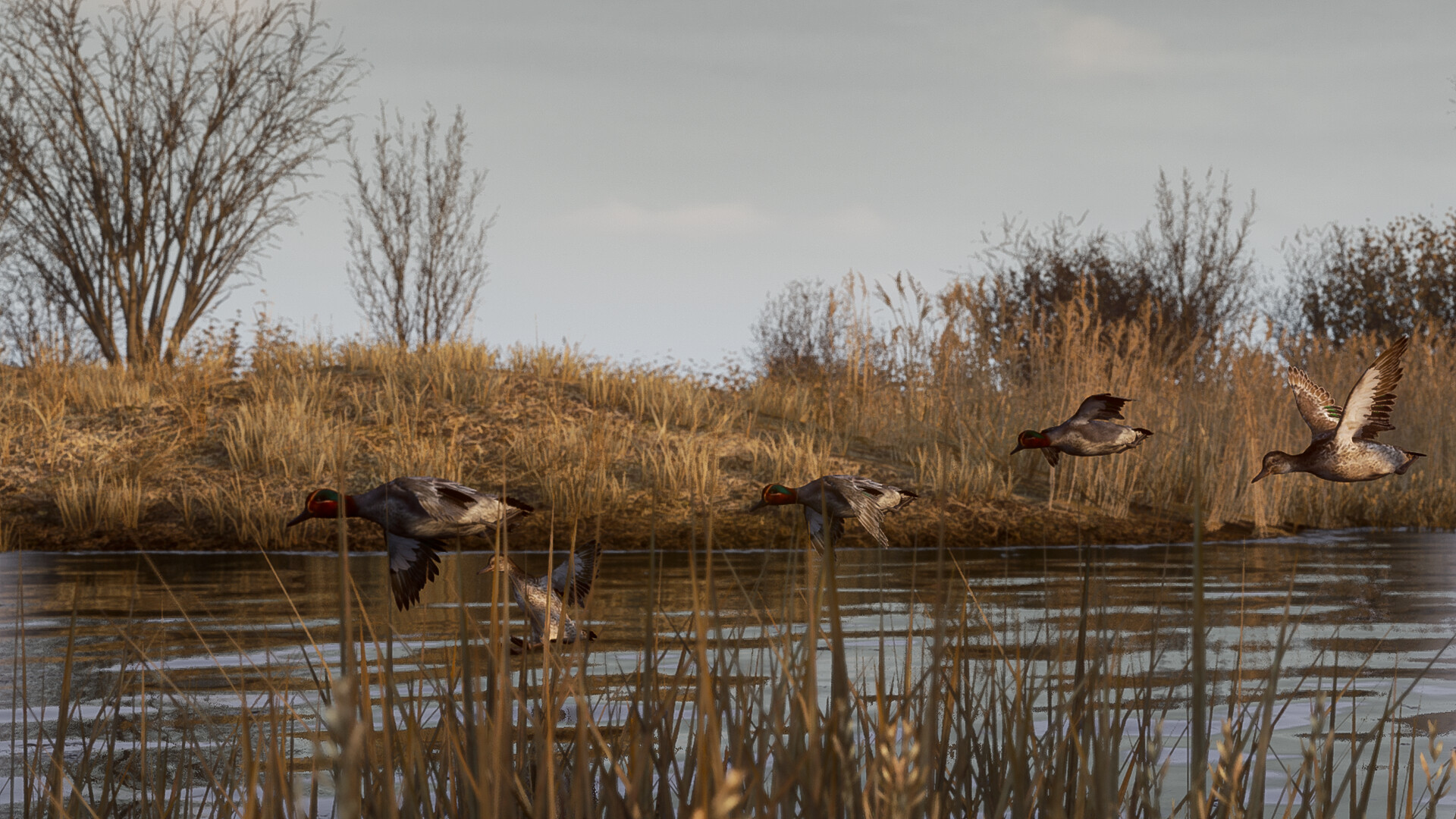 BULT:狩猎模拟器/BULT: Hunting simulator BULT:狩猎模拟器/BULT: Hunting simulator