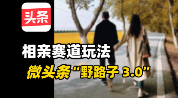 微头条“野路子3.0”相亲赛道玩法，搬砖式操作单号稳定3张-繁星源码网